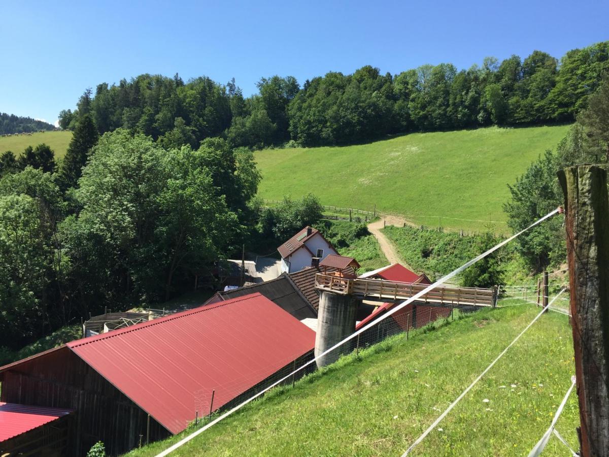 Haflingerhof Luef Villa Bad Schönau Екстериор снимка