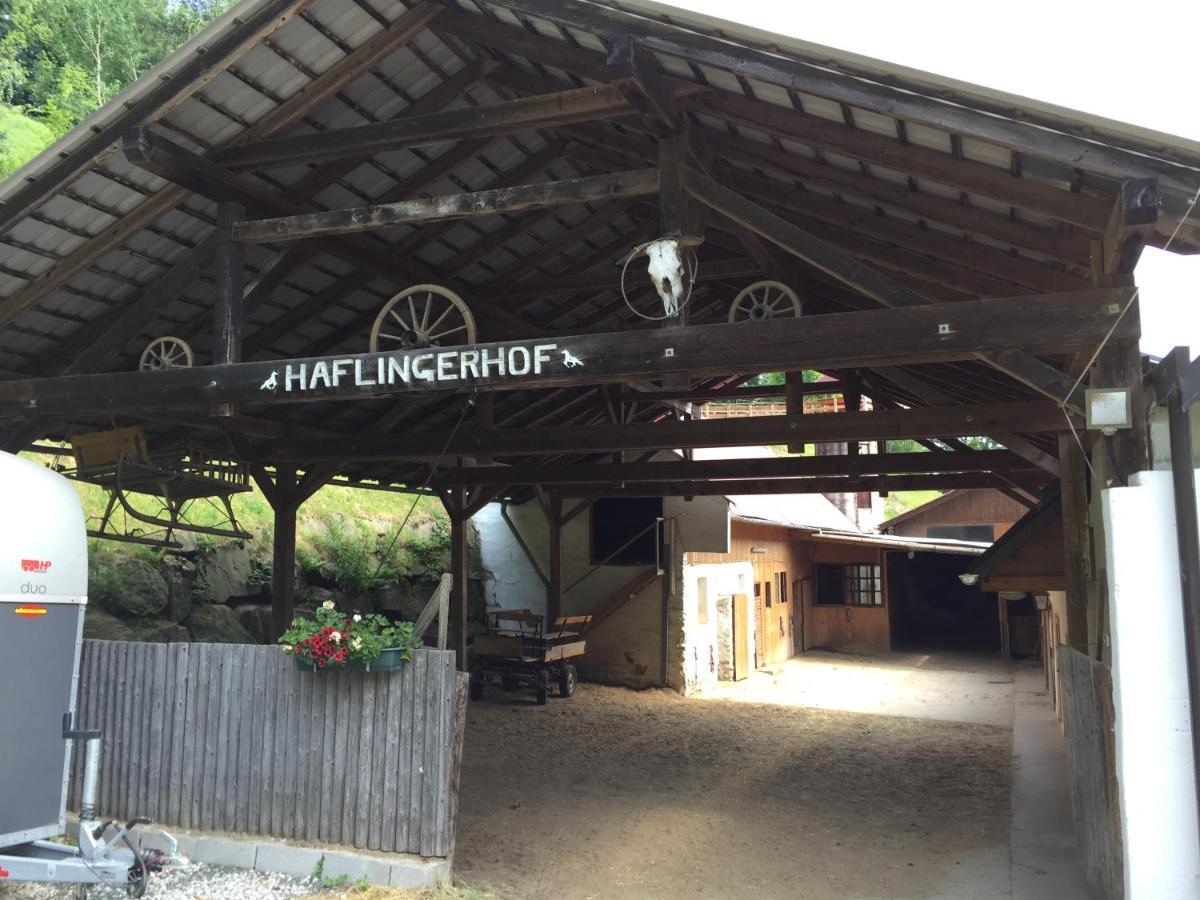 Haflingerhof Luef Villa Bad Schönau Екстериор снимка