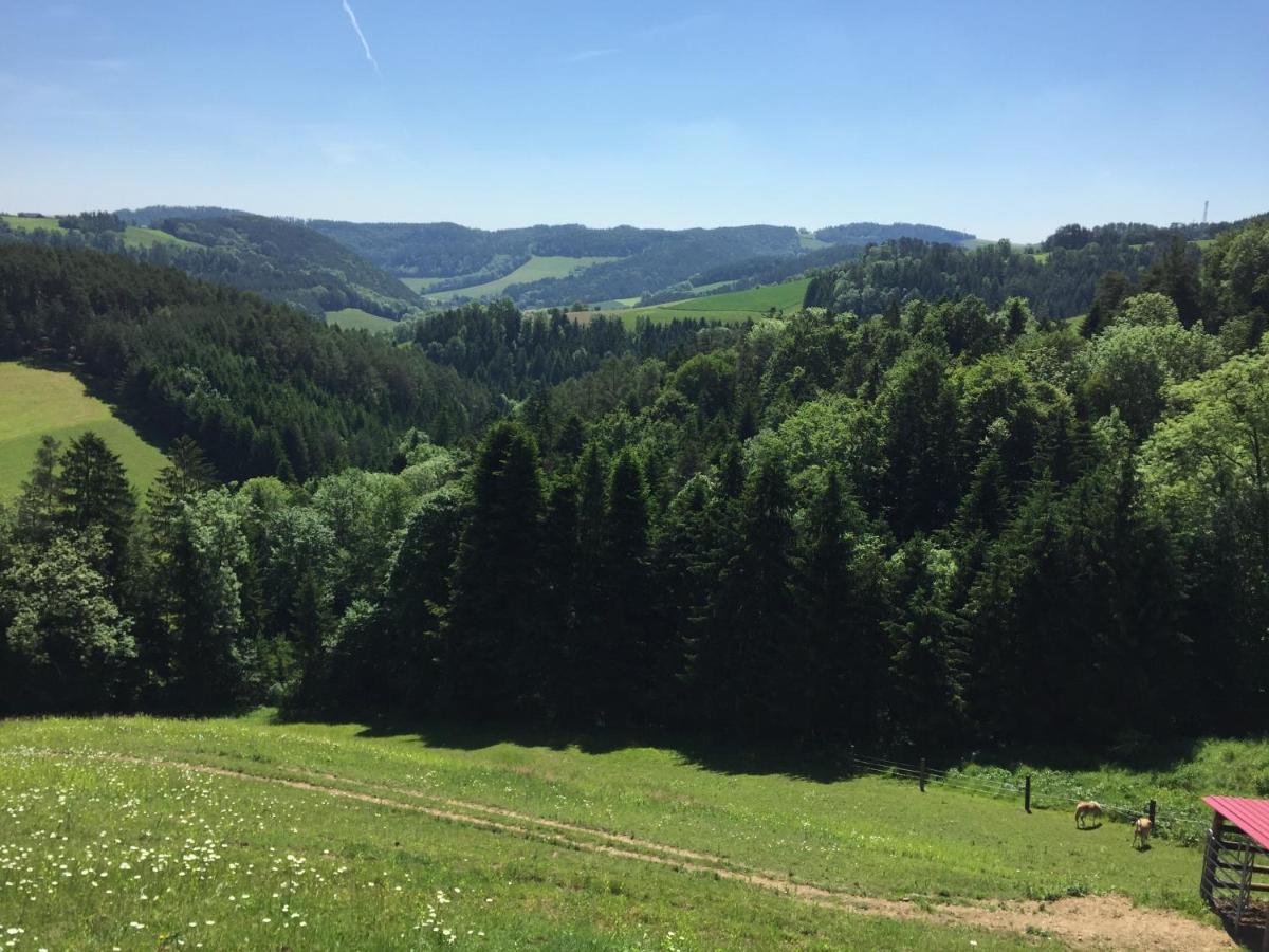 Haflingerhof Luef Villa Bad Schönau Екстериор снимка