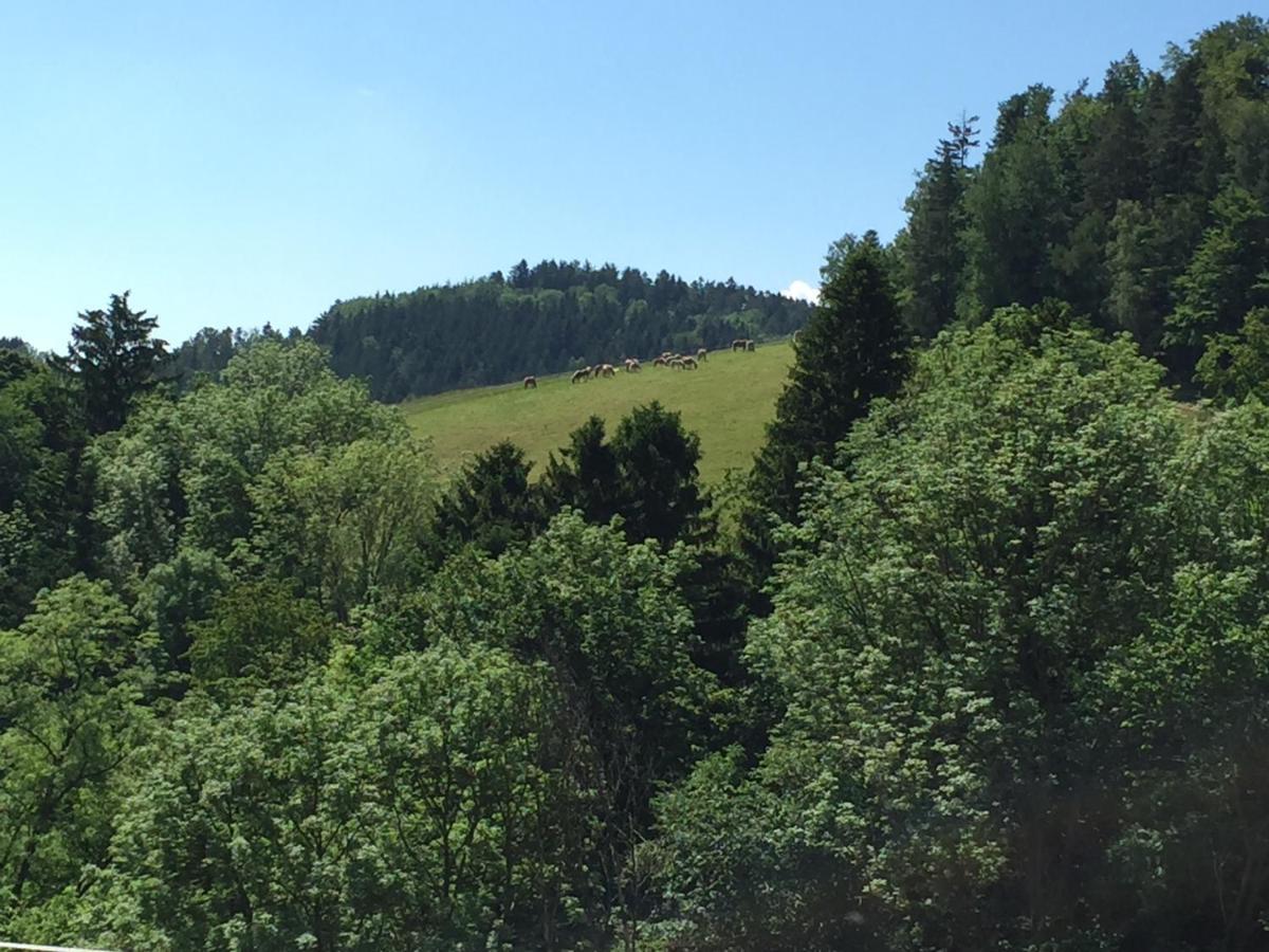 Haflingerhof Luef Villa Bad Schönau Екстериор снимка